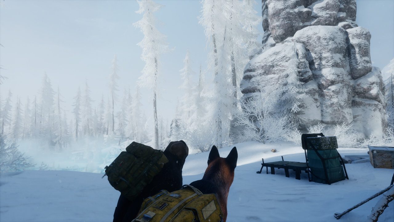 A dog companion waiting beside a heavy pack in the snow